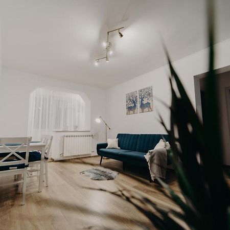 Apartamentul Albastru Vatra Dornei Bagian luar foto