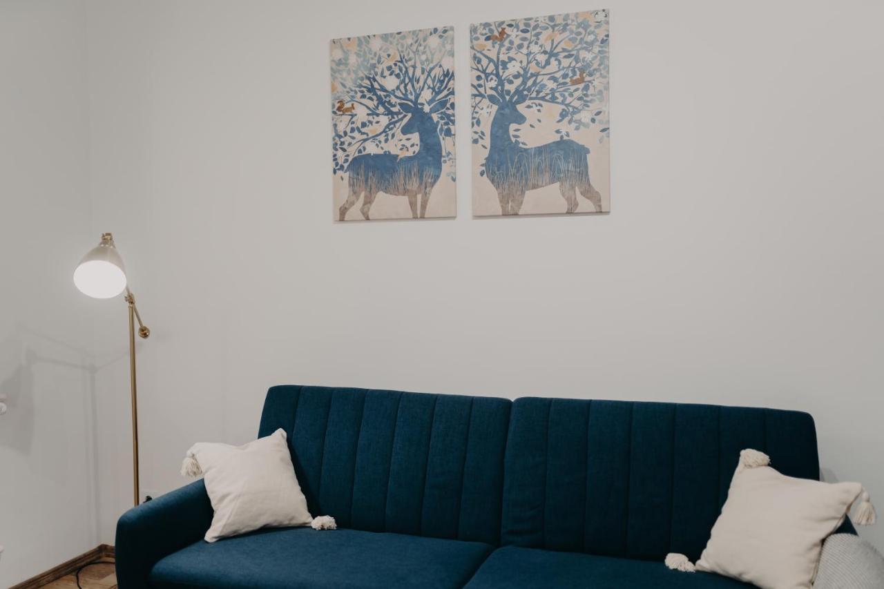 Apartamentul Albastru Vatra Dornei Bagian luar foto