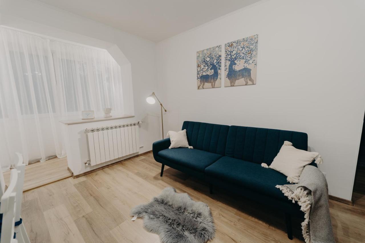 Apartamentul Albastru Vatra Dornei Bagian luar foto