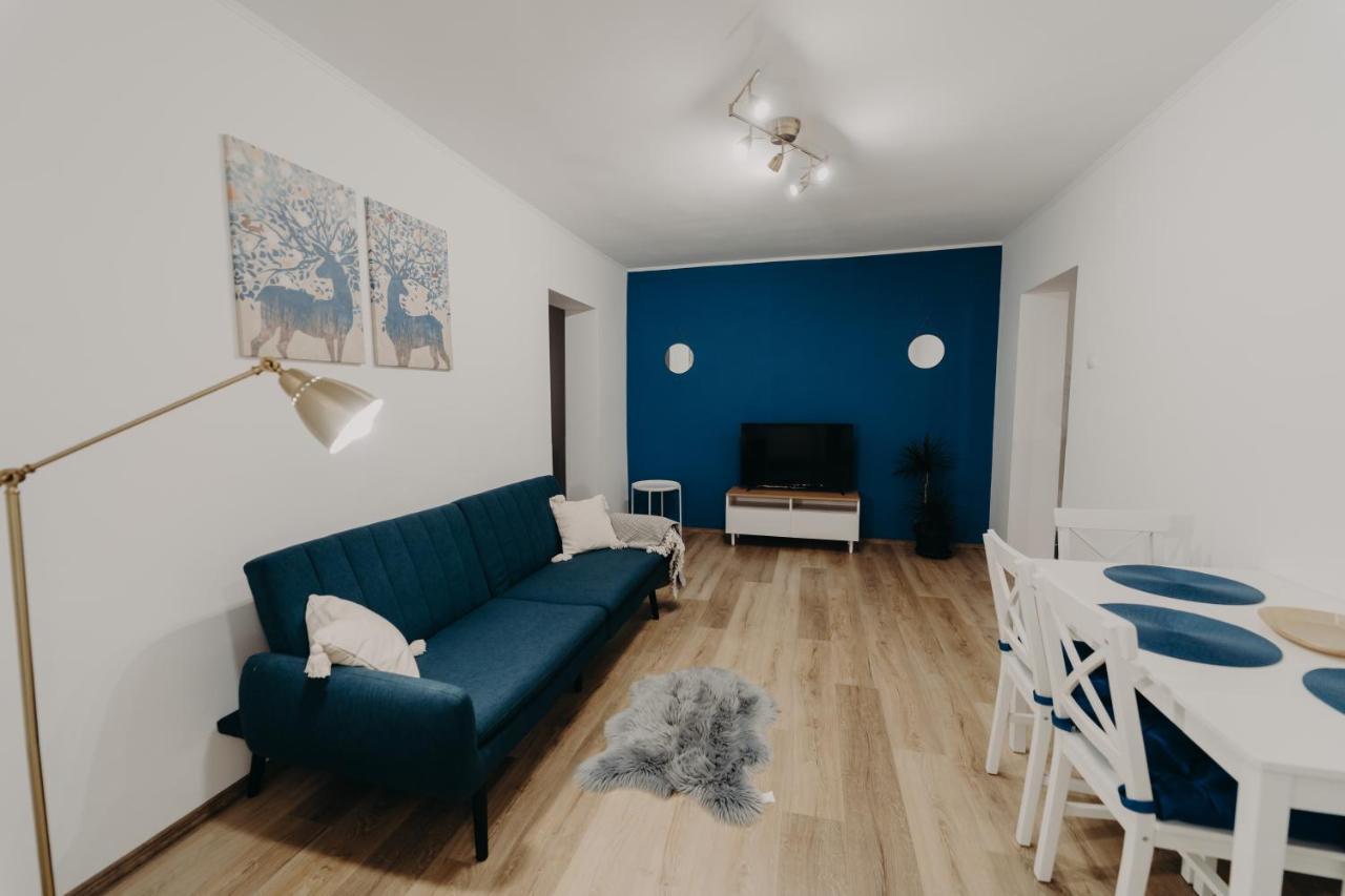 Apartamentul Albastru Vatra Dornei Bagian luar foto