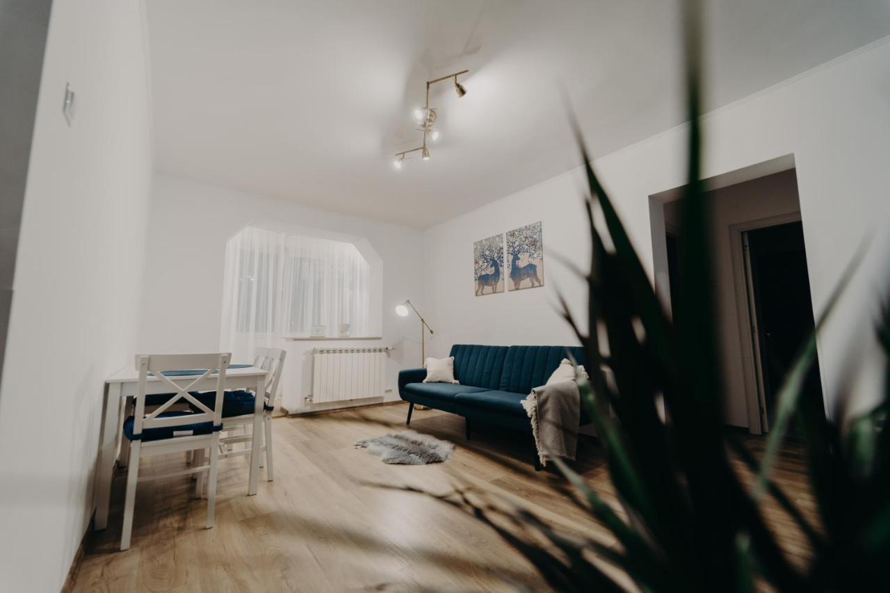 Apartamentul Albastru Vatra Dornei Bagian luar foto